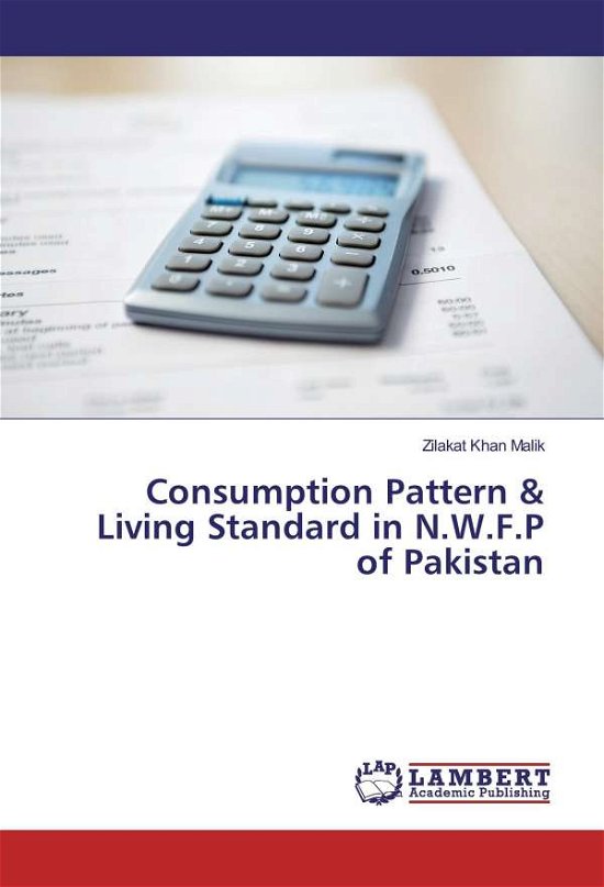 Cover for Malik · Consumption Pattern &amp; Living Stan (Buch)