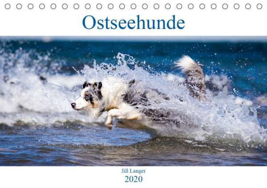 Cover for Langer · Ostseehunde (Tischkalender 2020 (Book)