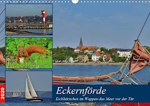 Cover for Schaack · Eckernförde. Eichhörnchen im Wa (Buch)