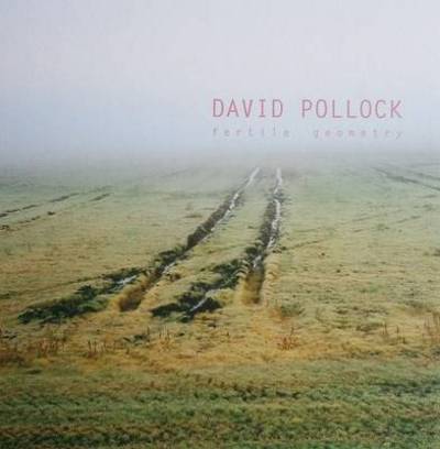 Cover for David Pollock · Fertile Geometry. Ediz. Illustrata (Book) (2011)