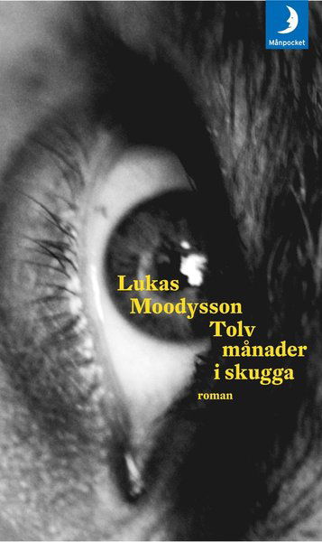 Tolv månader i skugga - Lukas Moodysson - Books - Månpocket - 9789175032214 - August 14, 2013