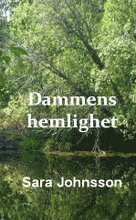 Cover for Sara Johnsson · Dammens hemlighet (Paperback Book) (2010)