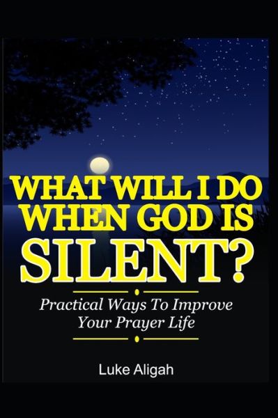 Cover for Luke Aligah · What Will I Do When God Is Silent? (Paperback Book) (2020)