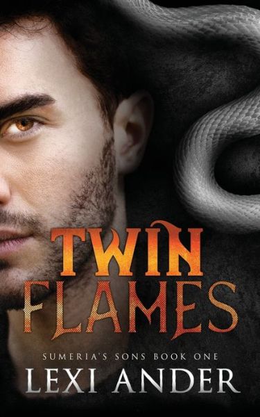 Cover for Lexi Ander · Twin Flames (Paperback Book) (2020)