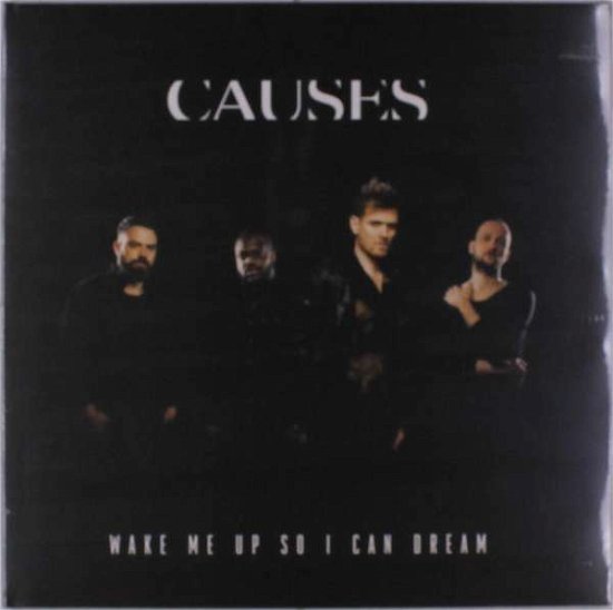 Wake Me Up So I Can Dream - Causes - Musique - SONY MUSIC - 0190758767215 - 14 décembre 2018