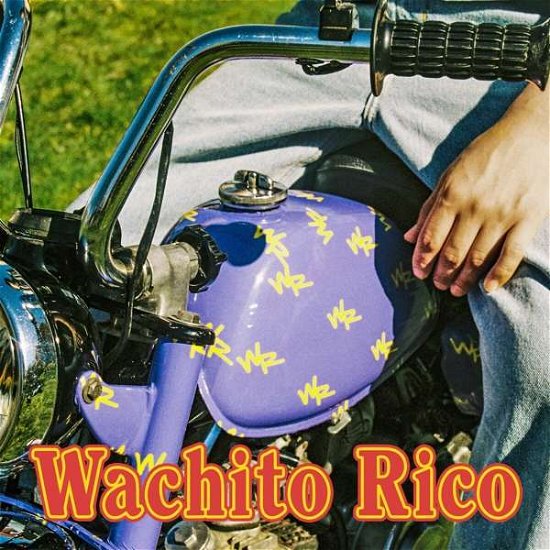 Cover for Boy Pablo · Wachito Rico (LP) (2020)