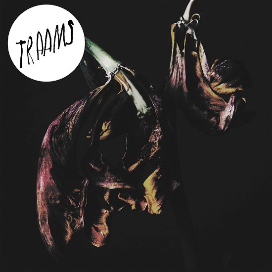 Cover for Traams · Grin (LP) (2013)