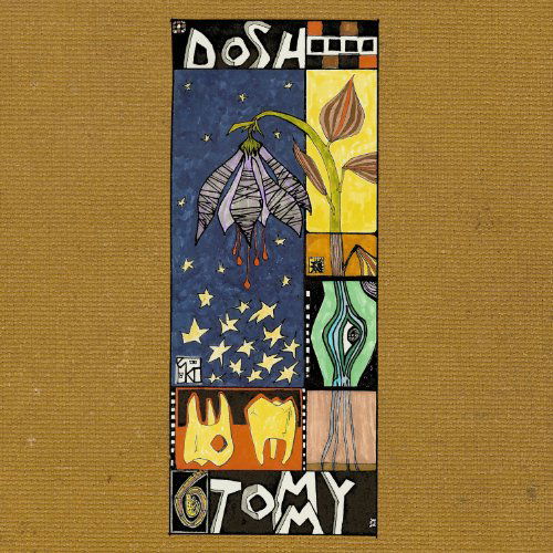 Cover for Dosh · Tommy (LP) (2010)