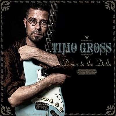 Cover for Timo Gross · Down to the Delta-13th Anniversary (LP) [Remastered, Limited edition]
