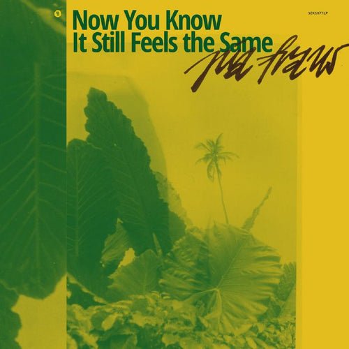 Cover for Pia Fraus · Now You Know It Still Feels The Same (LP) (2023)