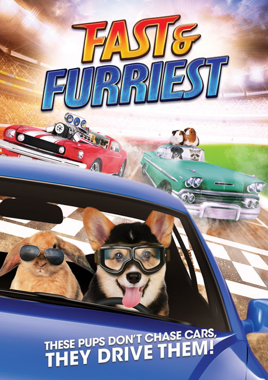 Cover for Feature Film · Fast and Furriest (DVD) (2024)