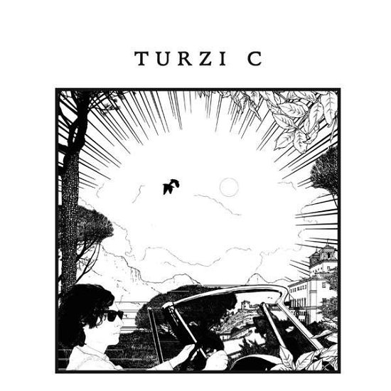 Cover for Turzi · C (LP) (2015)
