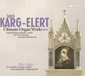 Cover for Völker Elke · Organ works, Vol.  6 Aeolus Klassisk (SACD) (2012)