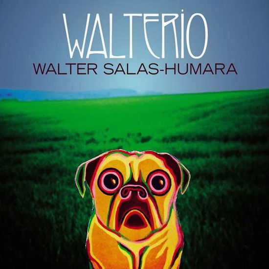 Walterio - Walter Salas-humara - Musik - BLUE ROSE RECORDS - 4028466327215 - 5. oktober 2018