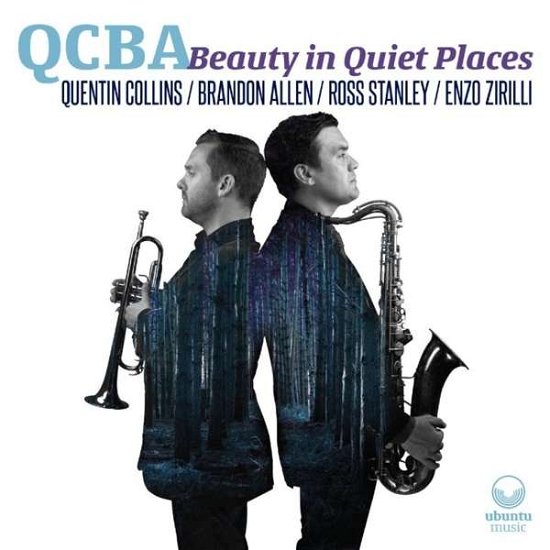 Cover for Qcba · Beauty In Quiet Places (CD) [Digipak] (2015)