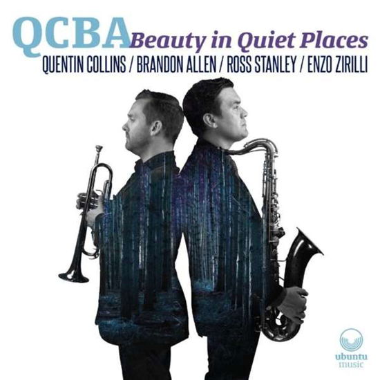 Cover for Qcba · Beauty In Quiet Places (CD) [Digipak] (2015)