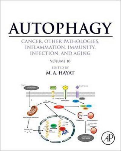 Cover for M a Hayat · Autophagy: Cancer, Other Pathologies, Inflammation, Immunity, Infection, and Aging: Volume 10 (Inbunden Bok) (2016)