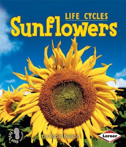Cover for Robin Nelson · Sunflowers (First Step Nonfiction: Plant Life Cycles) (Paperback Book) (2009)