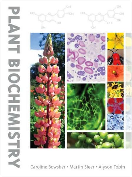 Cover for Bowsher, Caroline (University of Manchester, UK) · Plant Biochemistry (Paperback Book) (2008)