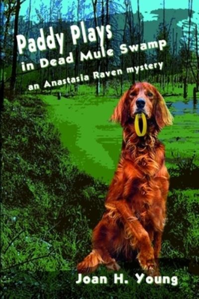 Cover for Joan H. Young · Paddy Plays in Dead Mule Swamp (Paperback Book) (2012)