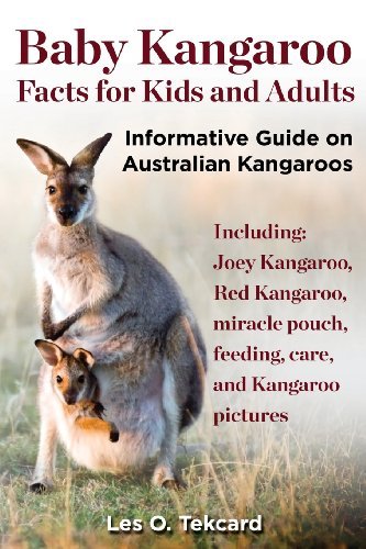 Cover for Les O Tekcard · Baby Kangaroo Facts for Kids and Adults (Paperback Book) (2014)