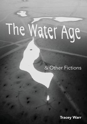 The Water Age & Other Fictions - The Water Age - Tracey Warr - Książki - Meanda Books - 9780995490215 - 20 sierpnia 2018