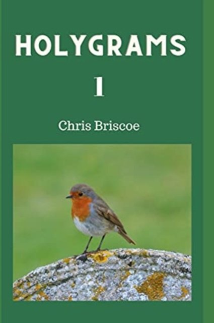 Cover for Chris Briscoe · Holygrams 1 (Bog) (2021)