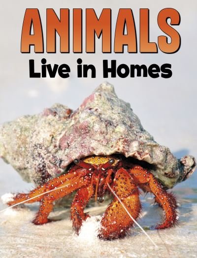 Cover for Nadia Ali · Animals Live in Homes - Animal Societies (Paperback Book) (2024)