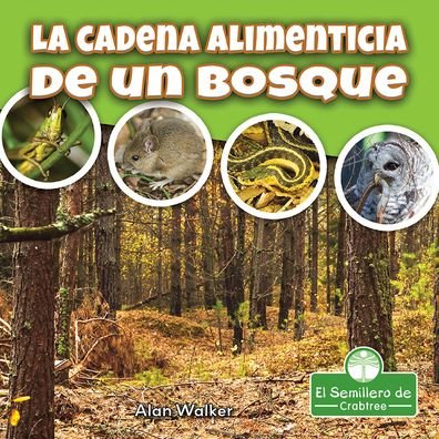 Cover for Alan Walker · La Cadena Alimenticia de Un Bosque (Paperback Book) (2021)