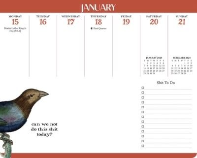 Cover for Aaron Reynolds · Effin' Birds 2024 Weekly Desk Pad Calendar (Calendar) (2023)
