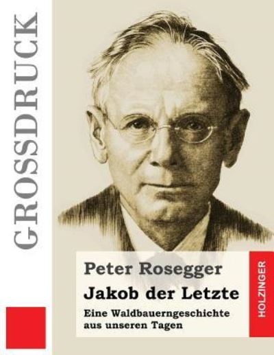 Cover for Peter Rosegger · Jakob der Letzte (Grossdruck) (Paperback Book) (2016)