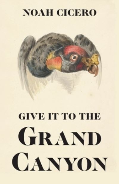 Give It to the Grand Canyon - Noah Cicero - Books - Philosophical Idiot - 9781732292215 - July 12, 2019
