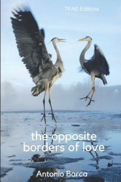 Cover for Antonio Barca · The opposite borders of love (Paperback Book) (2018)