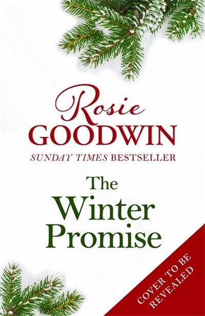 Cover for Rosie Goodwin · The Winter Promise: A perfect cosy Victorian saga from the Sunday Times bestselling author (Gebundenes Buch) (2020)