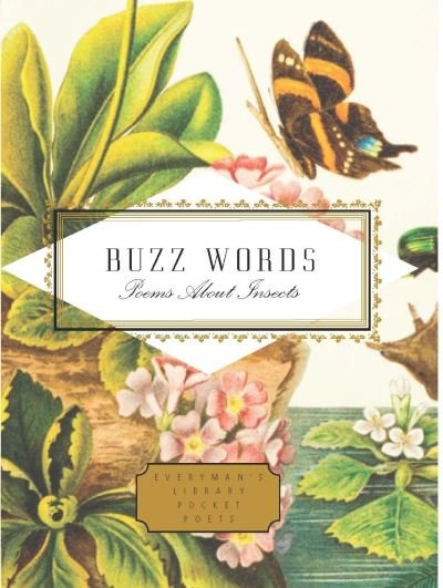 Cover for Buzz Words · Buzz Words: Poems About Insects - Everyman's Library POCKET POETS (Hardcover Book) (2021)