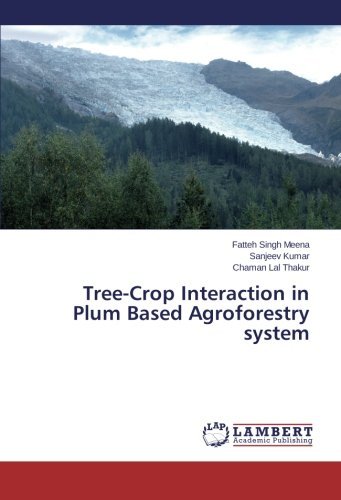 Cover for Chaman Lal Thakur · Tree-crop Interaction in Plum Based Agroforestry System (Pocketbok) (2014)