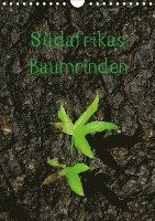 Cover for Dietz · Südafrikas Baumrinden (Wandkalend (Book)