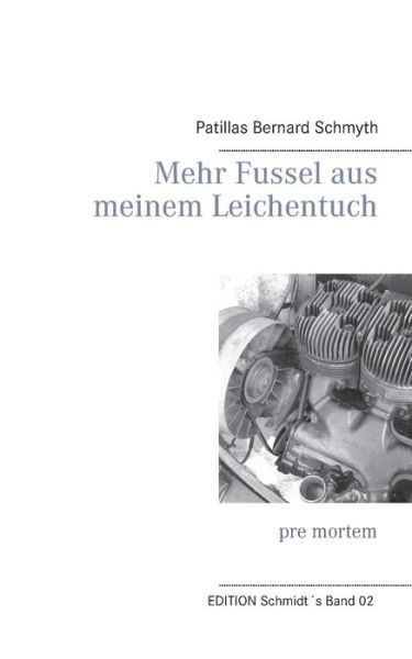 Cover for Uwe Schmidt · Mehr Fussel Aus Meinem Leichentuch (Paperback Book) [German edition] (2013)