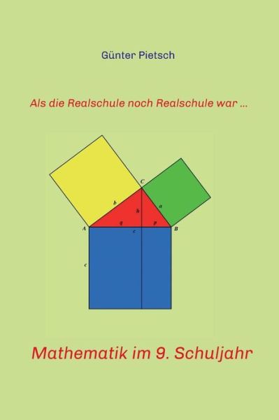 Mathematik im 9. Schuljahr - Pietsch - Books -  - 9783743924215 - June 26, 2017