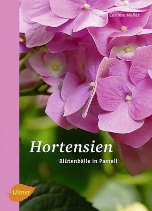 Cover for Mallet · Hortensien (Book)