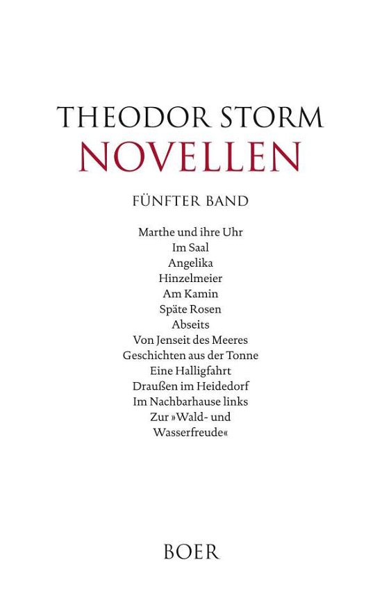 Cover for Storm · Novellen fünfter Band (Bog)