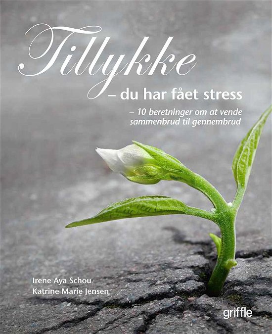 Cover for Katrine Marie Jensen Irene Aya Schou · Tillykke du har fået stress (Sewn Spine Book) [1e uitgave] (2016)