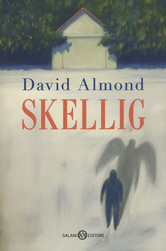 Cover for David Almond · Skellig (Book)