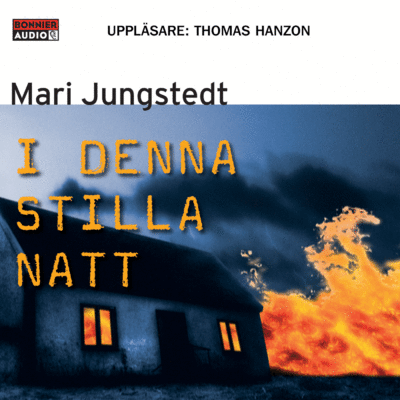 Anders Knutas: I denna stilla natt - Mari Jungstedt - Hörbuch - Bonnier Audio - 9789173480215 - 13. November 2008