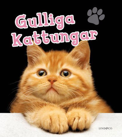 Cover for Harriet Stone · Gulliga kattungar (Bound Book) (2018)