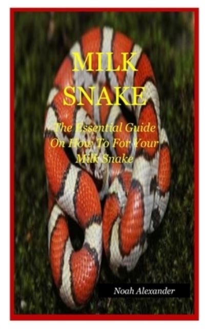 Cover for Noah Alexander · Milk Snake (Paperback Book) (2020)