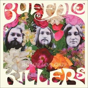 Cover for Buffalo Killers · Dig Sow Love Grow (LP) (2012)