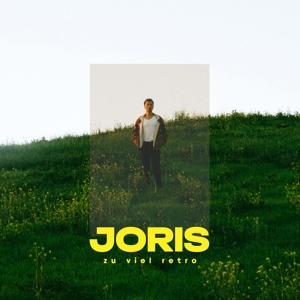 Cover for Joris · Zu Viel Retro (LP) (2025)