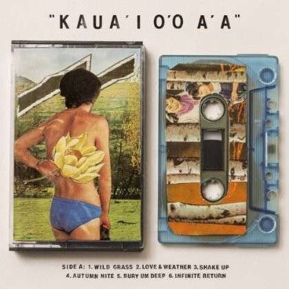 Cover for Gentle Friendly · KauaI OO AA (LP) (2014)