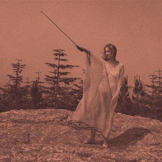 Cover for Unknown Mortal Orchestra · Ii (LP) (2013)